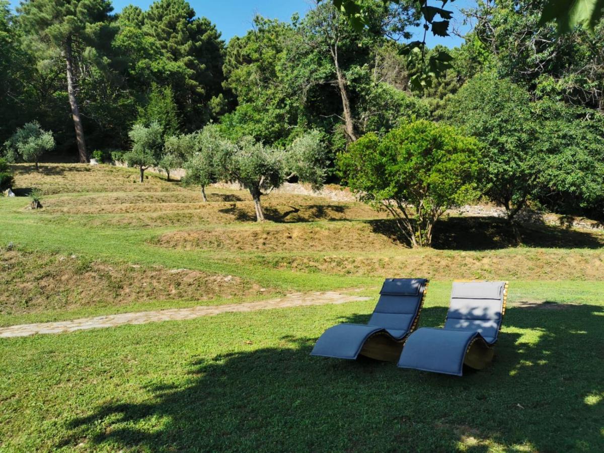 Bed and Breakfast A14 Pietrasanta La Dama Del Bosco Экстерьер фото