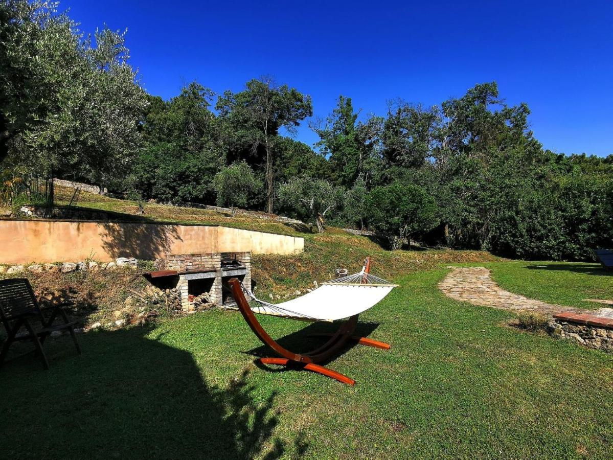 Bed and Breakfast A14 Pietrasanta La Dama Del Bosco Экстерьер фото