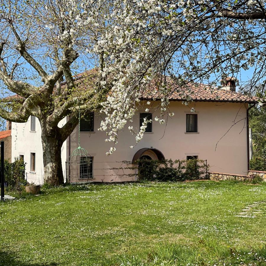 Bed and Breakfast A14 Pietrasanta La Dama Del Bosco Экстерьер фото