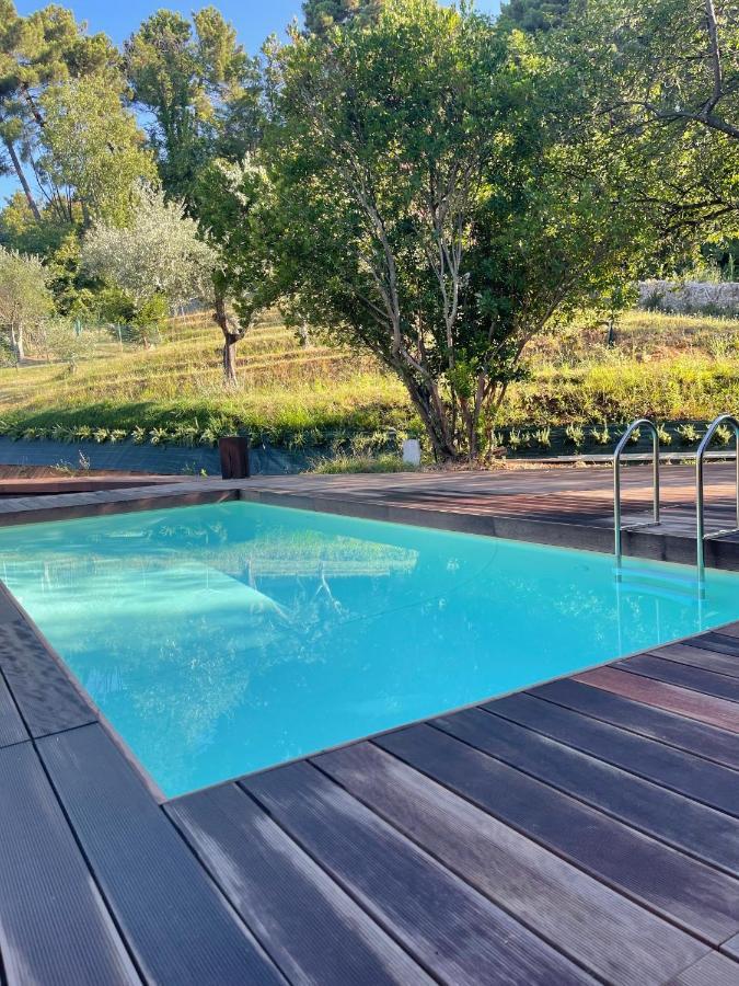 Bed and Breakfast A14 Pietrasanta La Dama Del Bosco Экстерьер фото